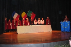 2005-witloof-3