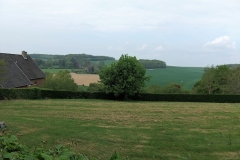 DSCF2351