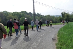 DSCF2356