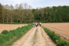 DSCF2367