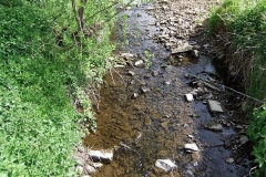 DSCF2374