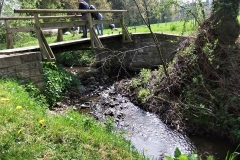 DSCF2379