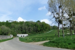 DSCF2381-2