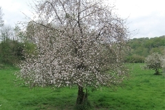 DSCF2392