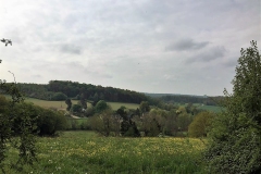 IMG-20220501-WA0014