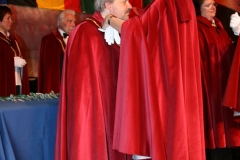 2009-Witloof-154
